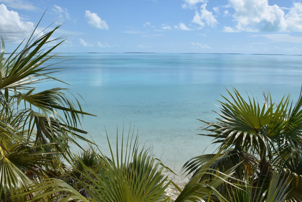 hiking Bahamas lee stocking island exumas